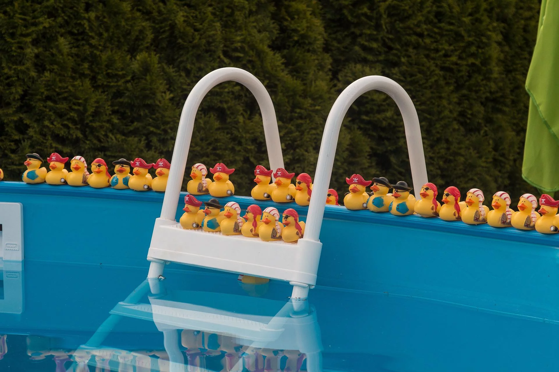 Rebord d'une piscine gonflable entouré de canards en plastique